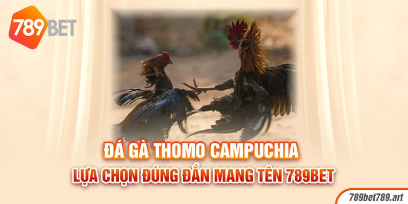 Đá Gà Thomo Campuchia